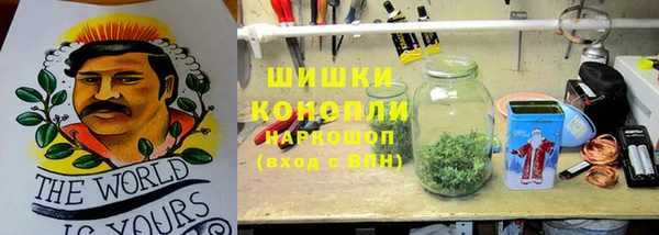 ГАЛЛЮЦИНОГЕННЫЕ ГРИБЫ Алексин
