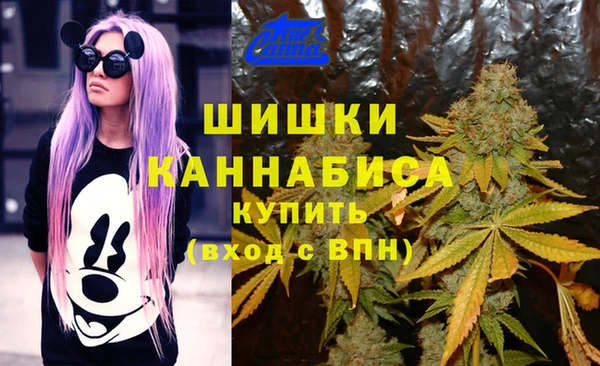 ГАЛЛЮЦИНОГЕННЫЕ ГРИБЫ Алексин