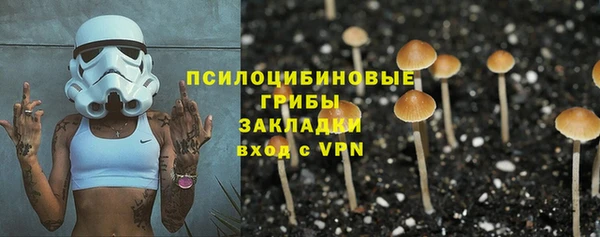 ГАЛЛЮЦИНОГЕННЫЕ ГРИБЫ Алексин