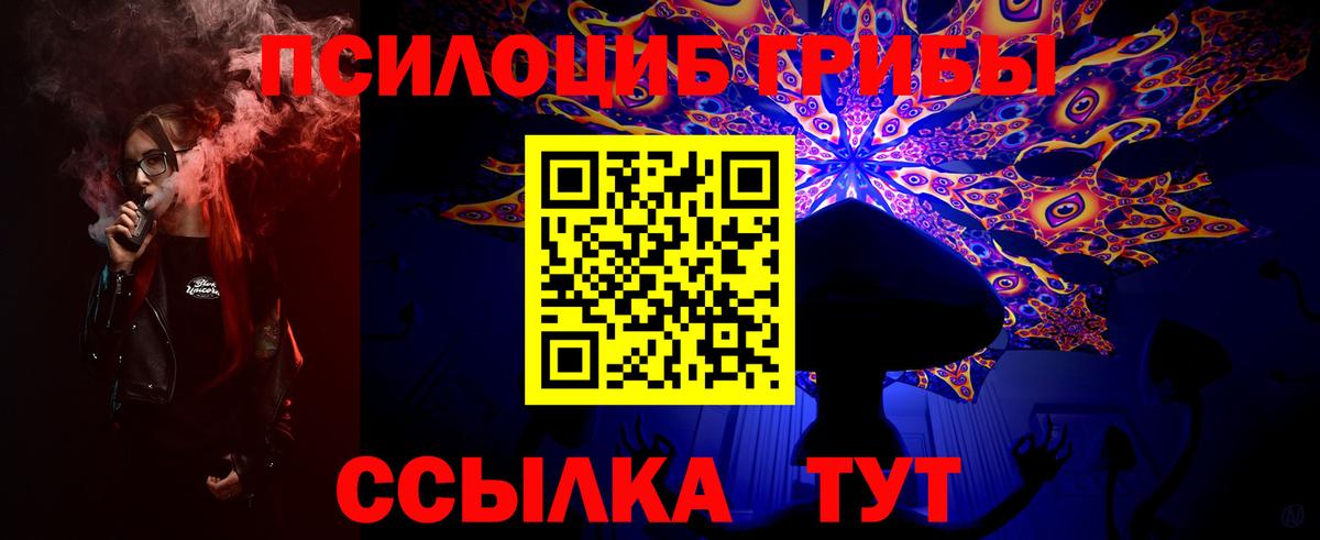 Тулун  Галлюциногенные грибы мухоморы  Вход с VPN 